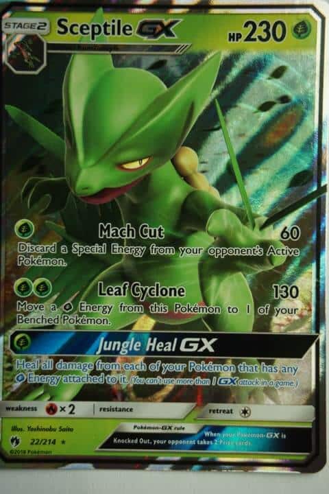 Sceptil GX 22/214