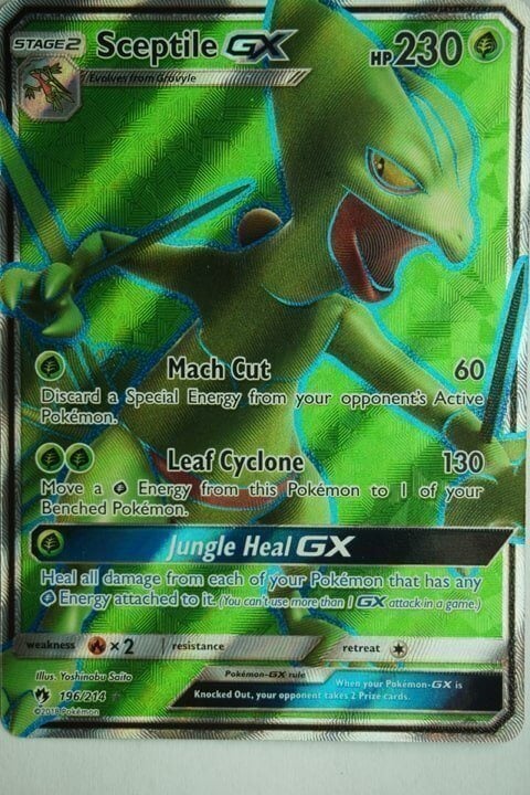 Sceptile GX 196/214 Full Art