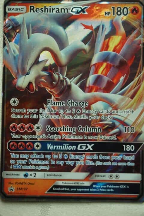 Reshiram GX SM137 Reklam