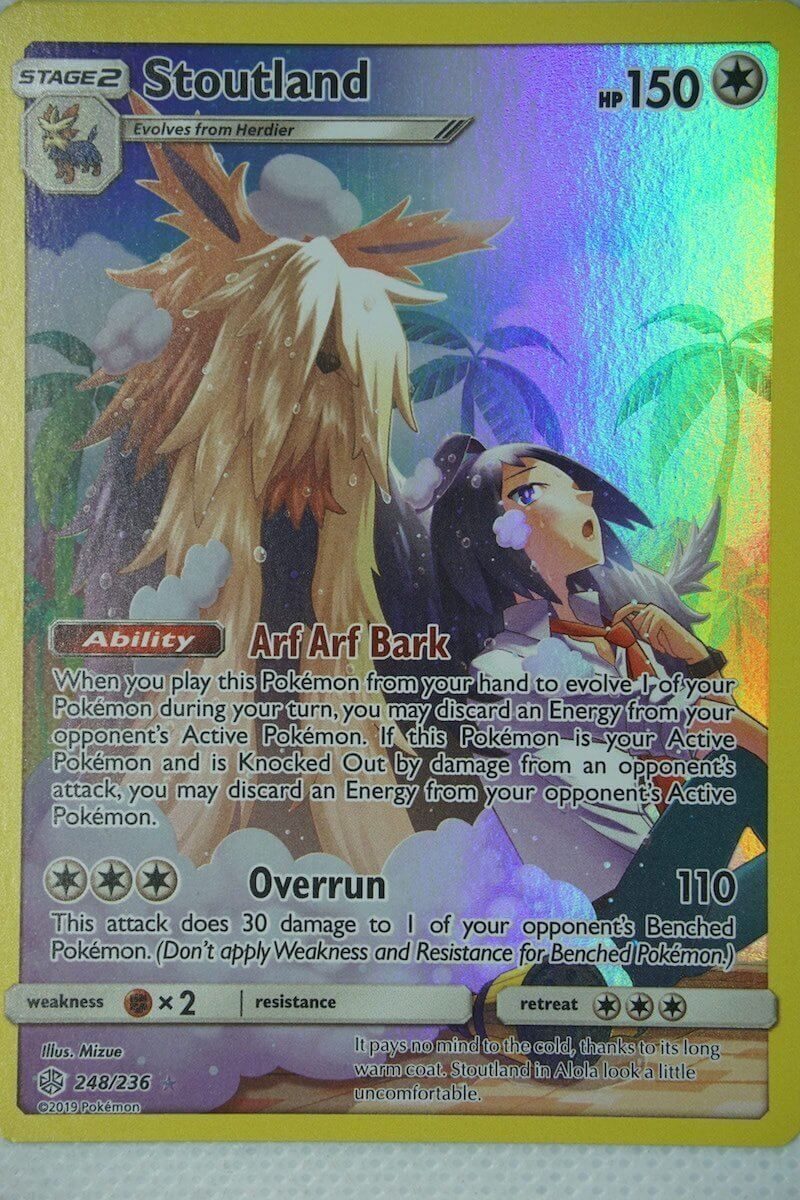 Stoutland 248/236 Secret Rare