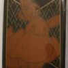 65 sleeves med Eevee