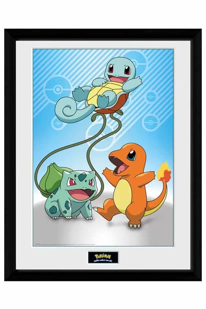 Inramad bild med Kanto Starter