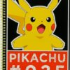 Stor Pikachu-anteckningsbok