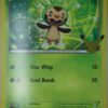 Chespin XY01 25-årsjubileum Large
