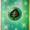 Gräsenergi 283/264 Secret Rare
